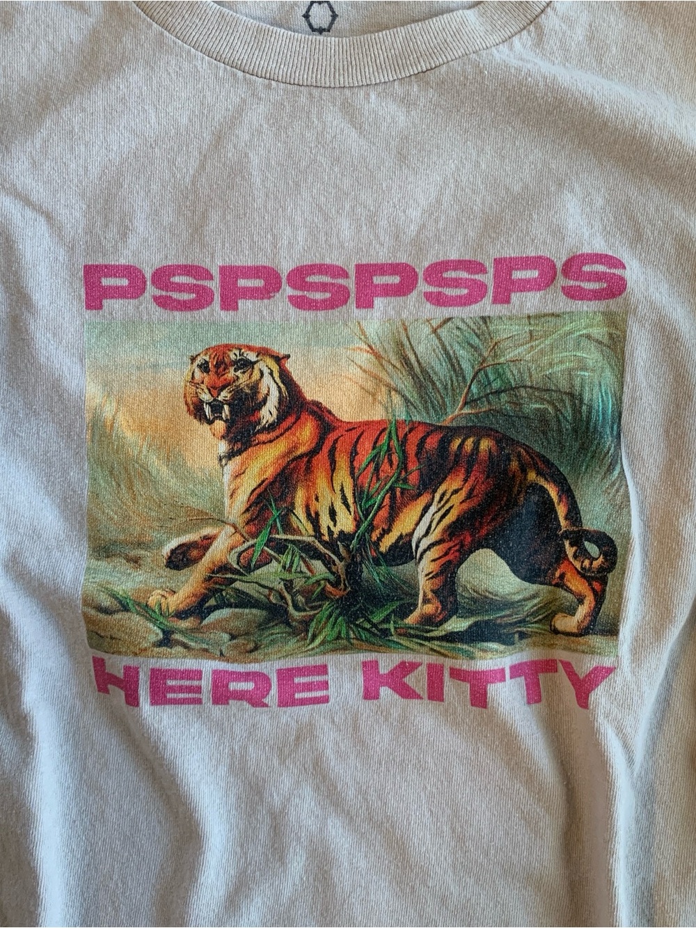 Empyre Graphic Crewneck Tee with Tiger Print
